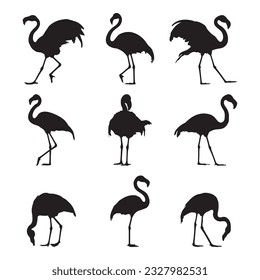 Silhouette flamingo collection - vector illustration