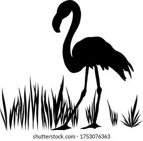 Silhouette of a Flamingo in the grass