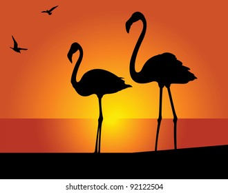 Silhouette of the flamingo on a background of the evening sky