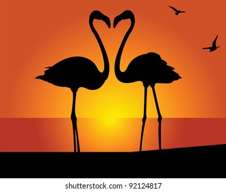 Silhouette of the flamingo on a background of the evening sky