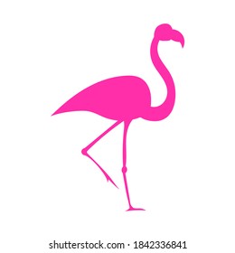 silhouette of flamingo pink, vector illustration