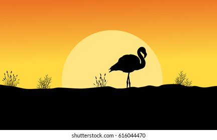 Silhouette of flamingo at sunset landscape