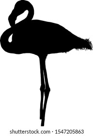 Silhouette of a flamingo. Vector illustration. 