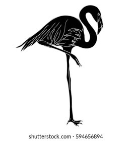 silhouette of Flamingo - vector illustration