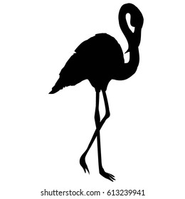 silhouette of Flamingo - vector illustration