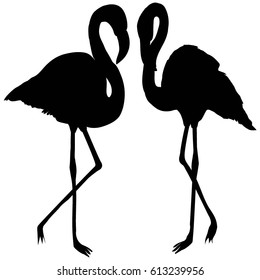 silhouette of Flamingo - vector illustration