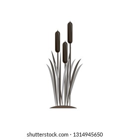 Silhouette flat icon, vector design. Cartoon grass with bulrush. Template  water plant, landscape and swamp. Nature landscape silhouette with bulrush plant and grass. 