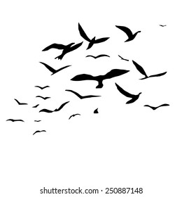 Silhouette Flock Birds Stock Vector (Royalty Free) 250887148 | Shutterstock