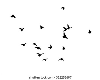 Silhouette Flock Birds Stock Vector (Royalty Free) 352258697 | Shutterstock