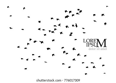 Silhouette of a flock of birds