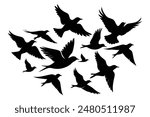 Silhouette flock of birds isolated on white background