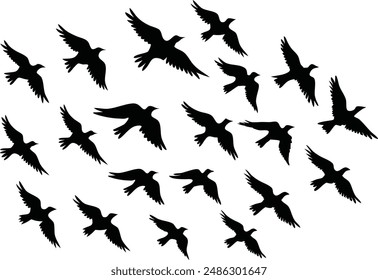 silhouette flock of birds isolated on white background