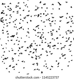 Silhouette of a flock of birds. Seamless pattern of many birds. Vector