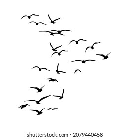 A silhouette of a flock of birds taking flight. The concept of freedom. vector illustration