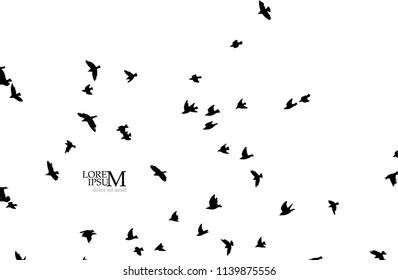 Silhouette of a flock of birds. Vector