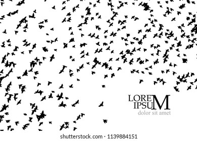 Silhouette of a flock of birds. Vector