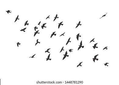 silhouette of a flock of flying birds