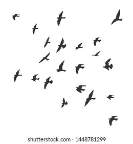 silhouette of a flock of flying birds
