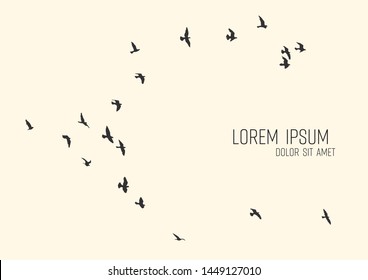 silhouette of a flock of flying birds