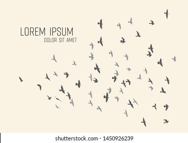 silhouette of a flock of flying birds
