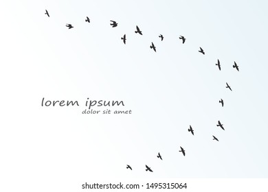 silhouette of a flock of flying birds