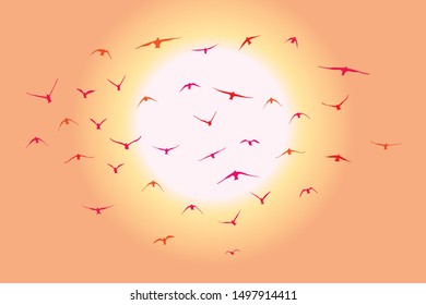 silhouette of a flock of flying birds