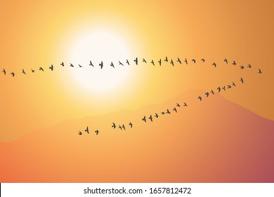 silhouette of a flock of flying birds