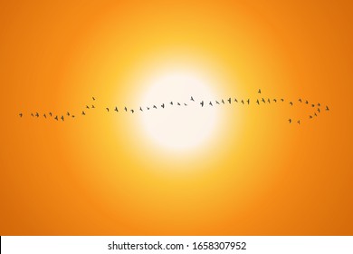 silhouette of a flock of flying birds