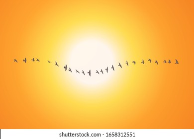 silhouette of a flock of flying birds