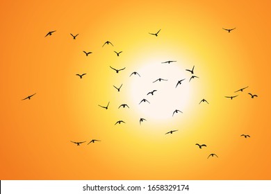 silhouette of a flock of flying birds