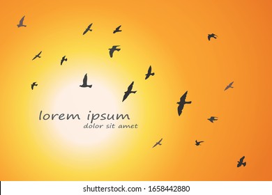 silhouette of a flock of flying birds