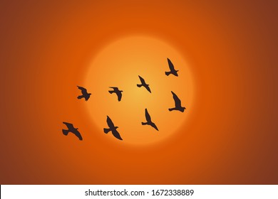 silhouette of a flock of flying birds