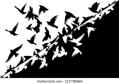 Silhouette Flock Flying Birds Abstract Background Stock Vector (Royalty ...