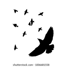 Illustration Doves Flying Feather Silhouette Isolated Stock Vector 