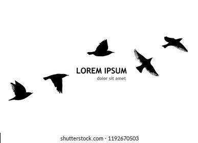 Silhouette of a flock of flying birds. Vector