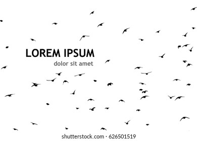 Silhouette of a flock of flying birds. Vector