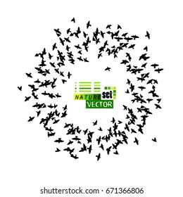 Silhouette of a flock of flying birds. Vector