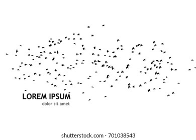 Silhouette of a flock of flying birds. Vector