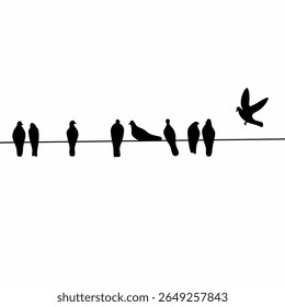 Silhouette of a flock of pigeons perched on a power line on a white screen background.
