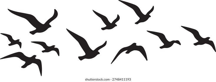 Silhouette of a flock of seagulls flying in the sky isolated on white background.