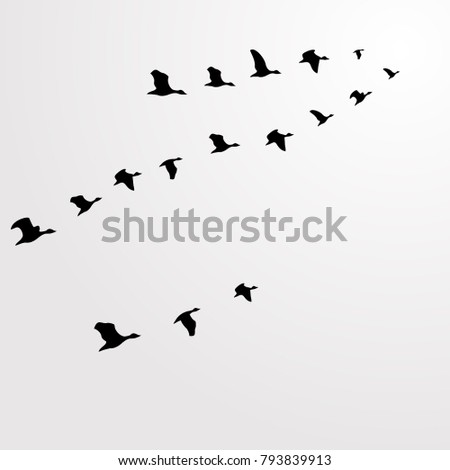 Similar – Image, Stock Photo Pigeons fly and storm clouds gather