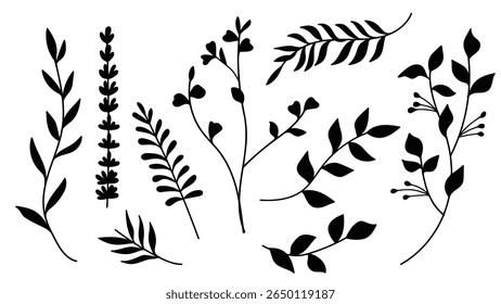 Silhouette Floral Botanical Collection for Wedding Invitation.Vector illustration