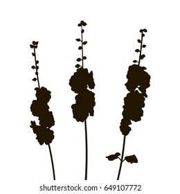 Silhouette floral composition with mallows, drawing floral card, hand drawn vector illustration