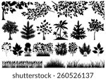 Silhouette of floral elements on white, vector illustration