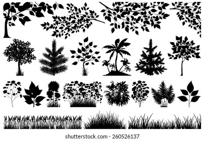 Silhouette of floral elements on white, vector illustration