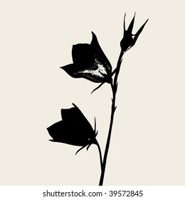 silhouette of flower