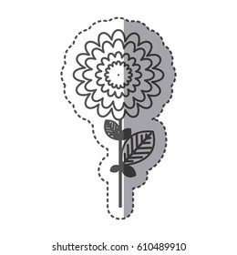 silhouette flower with abstract petals, vector illustraction design