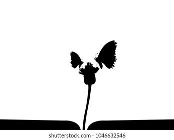 Silhouette flower and butterfly on white background.Silhouette vector and templates.