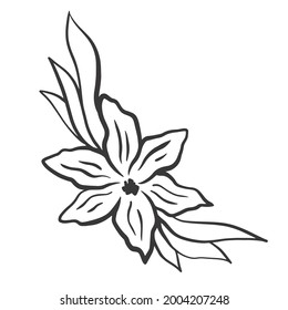 Silhouette de una flor con hojas, ilustración vectorial. Elemento botánico decorativo de esquina, trazo. Disposición de las flores para el diseño.
