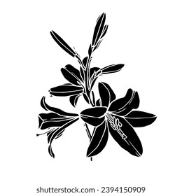 Silhouette of a flower, lily bud. Decorative botanical element. Vector graphics.
